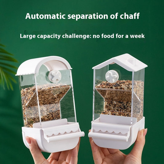 Parrot Automatic Pet Feeder Food Container