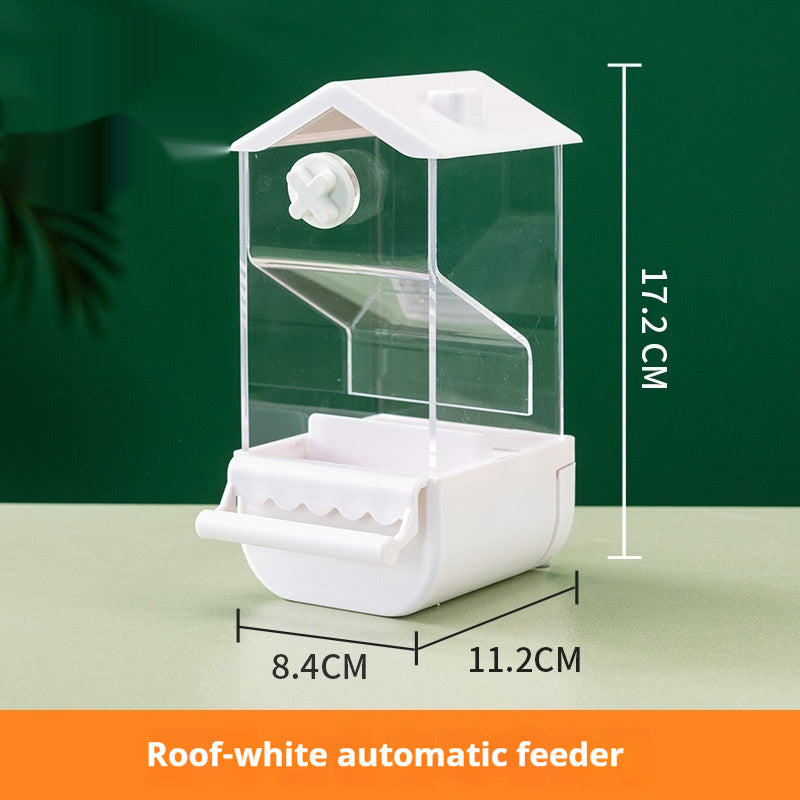 Parrot Automatic Pet Feeder Food Container